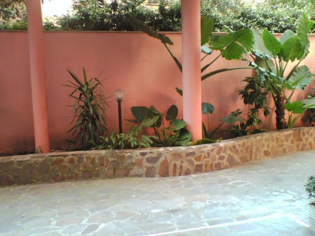 Mide S.camillo Rom